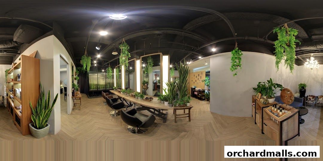 Scene Mandarin Gallery