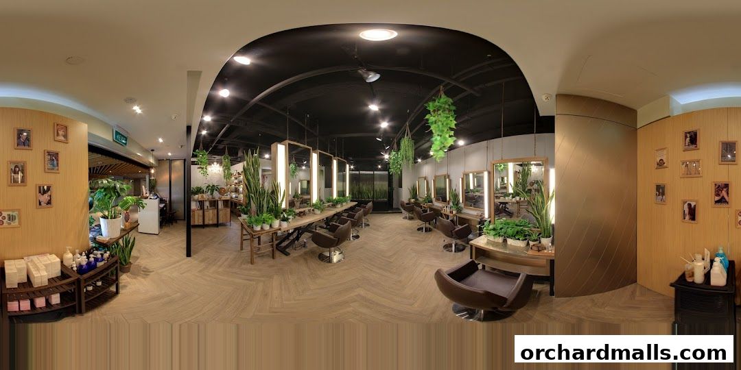 Scene Mandarin Gallery