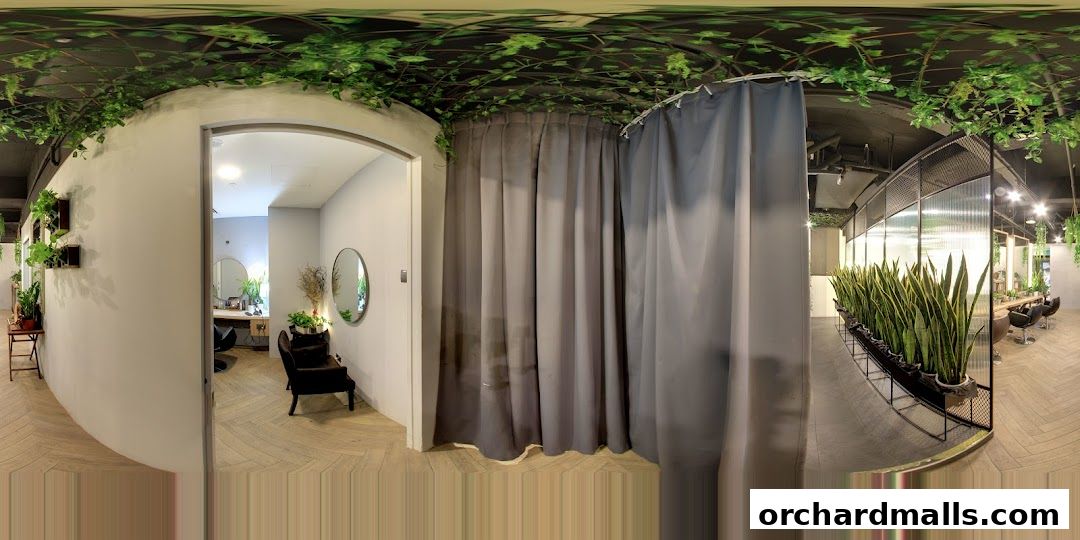 Scene Mandarin Gallery