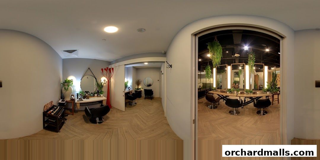 Scene Mandarin Gallery