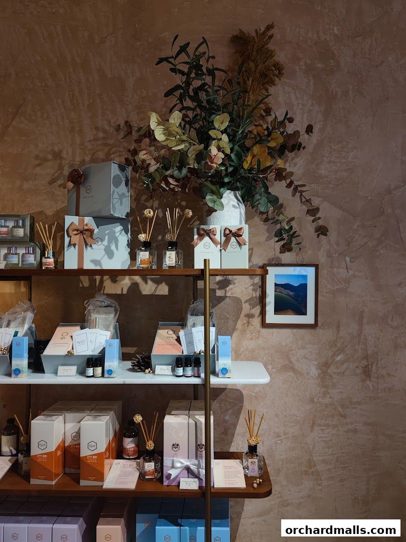 Scent by SIX 313somerset