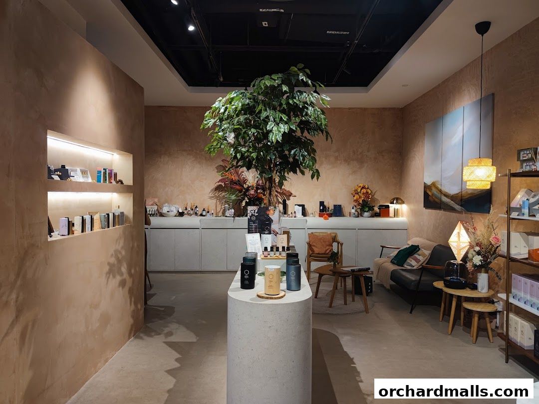 Scent by SIX 313somerset