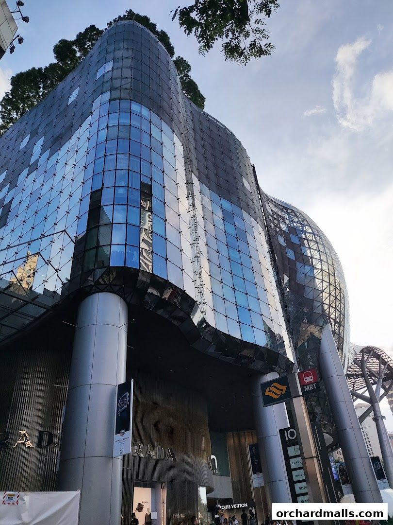 Scent Journer at Orchard Road