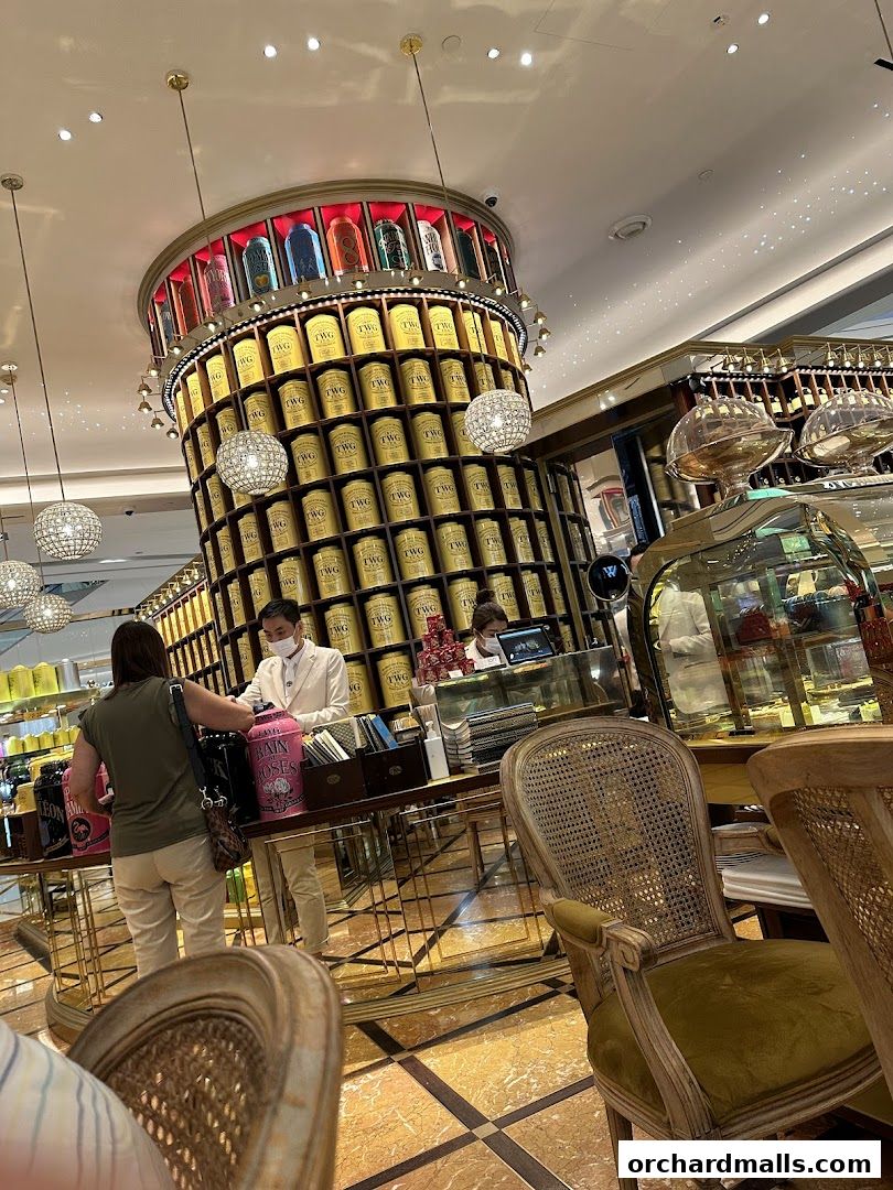 Interior of a luxurious tea shop with a large display of tea canisters and seating.