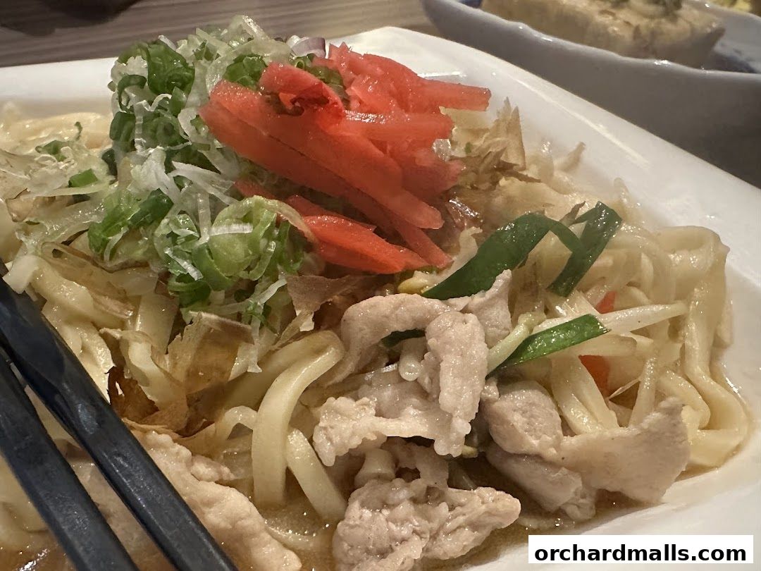 A close-up of a delicious Okinawa cuisine dish with noodles, pork, and fresh toppings.