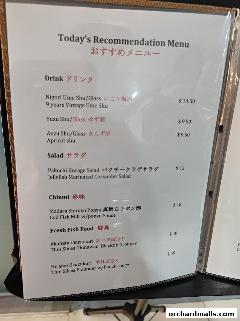 A menu featuring today's recommendations for drinks, salads, and fresh fish dishes.