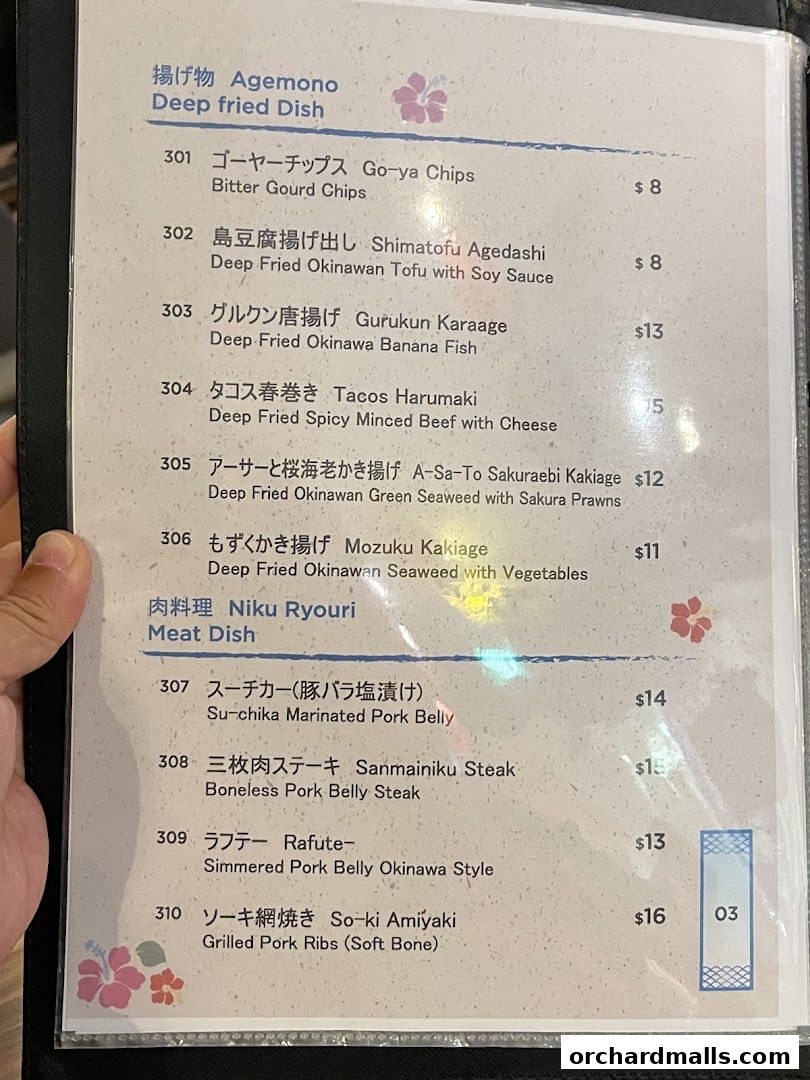 A menu from ShinnSato Okinawa Cuisine featuring deep-fried dishes and meat dishes.