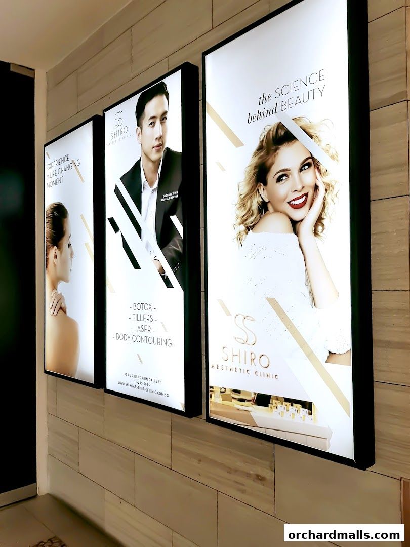 Shiro Aesthetic Clinic