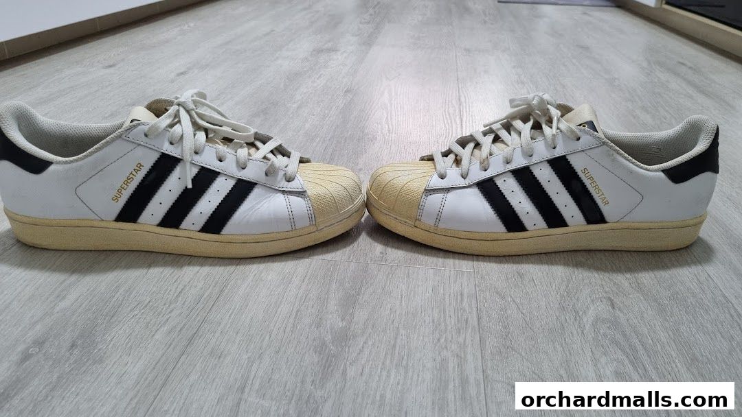 Shoe Mo - Shoe  Sneaker Cleaning Services