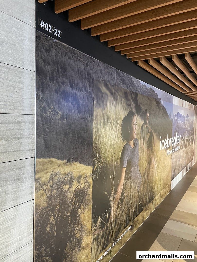 Shoe Mo - Shoe  Sneaker Cleaning Services