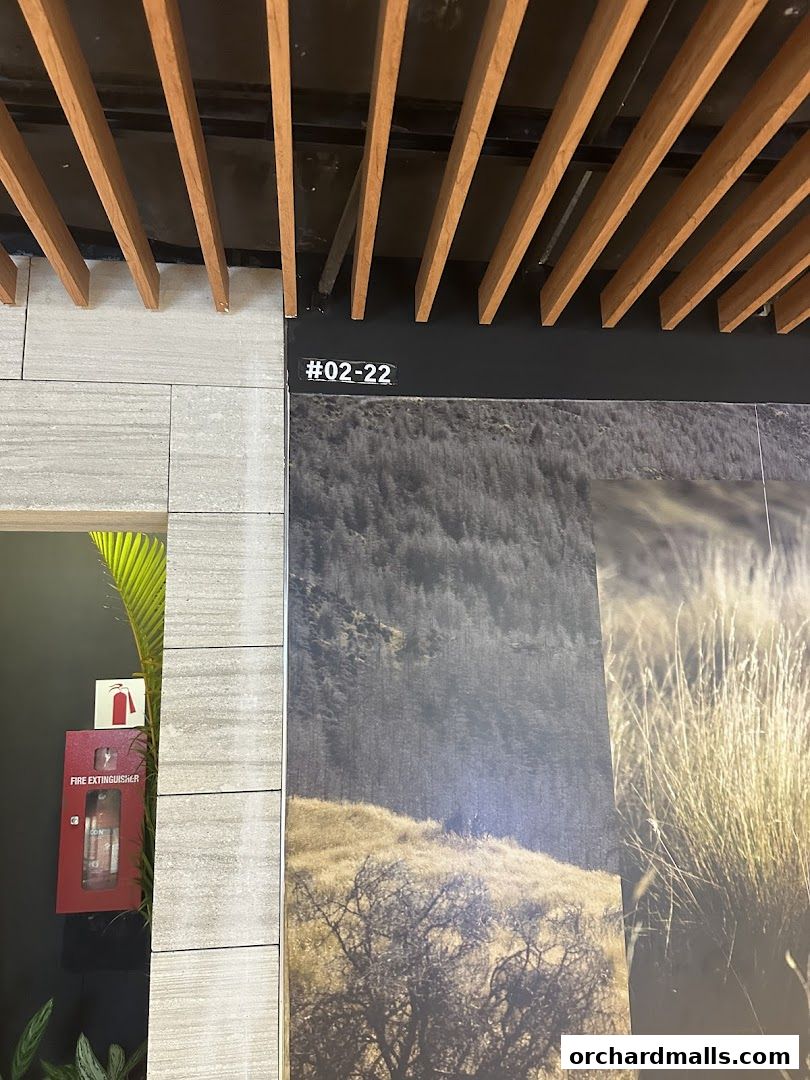 Shoe Mo - Shoe  Sneaker Cleaning Services