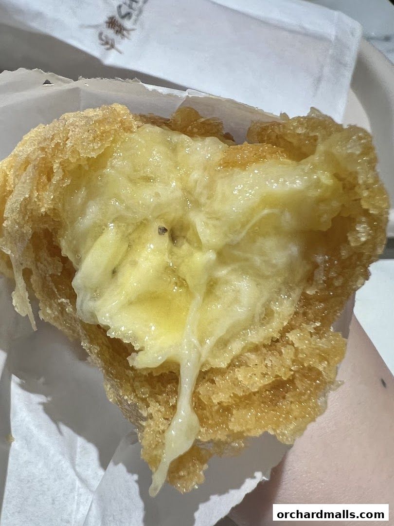 A close-up of a crispy fried fritter with a gooey, melted cheese filling.