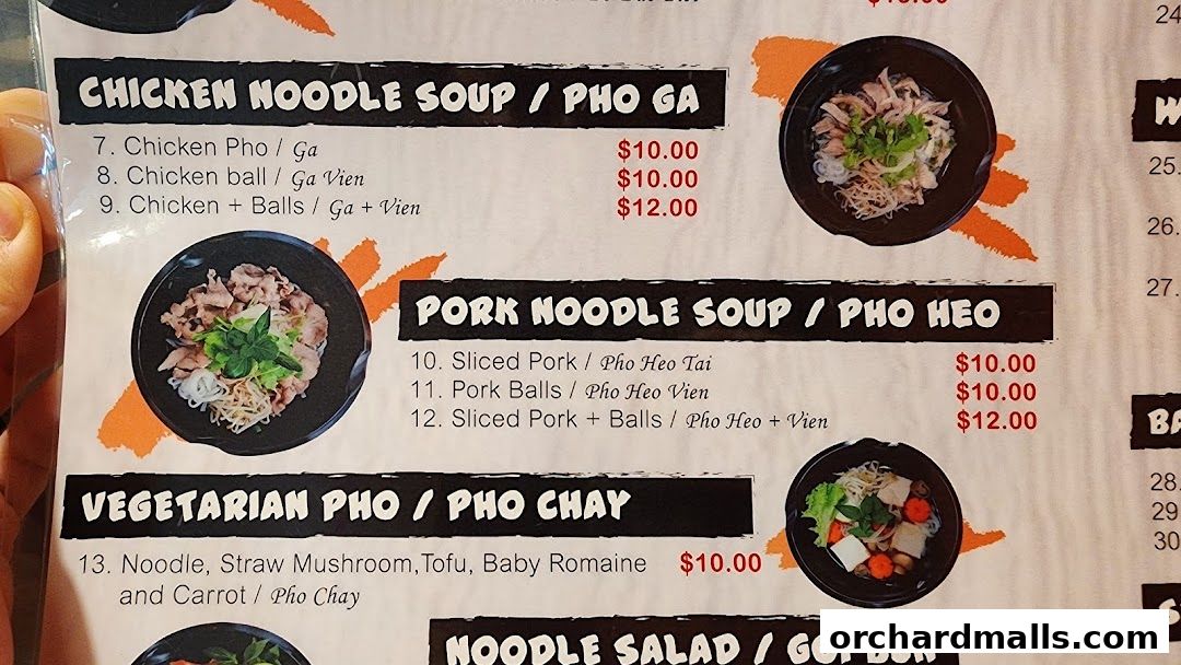 Menu page for Signs A Taste of Vietnam Pho