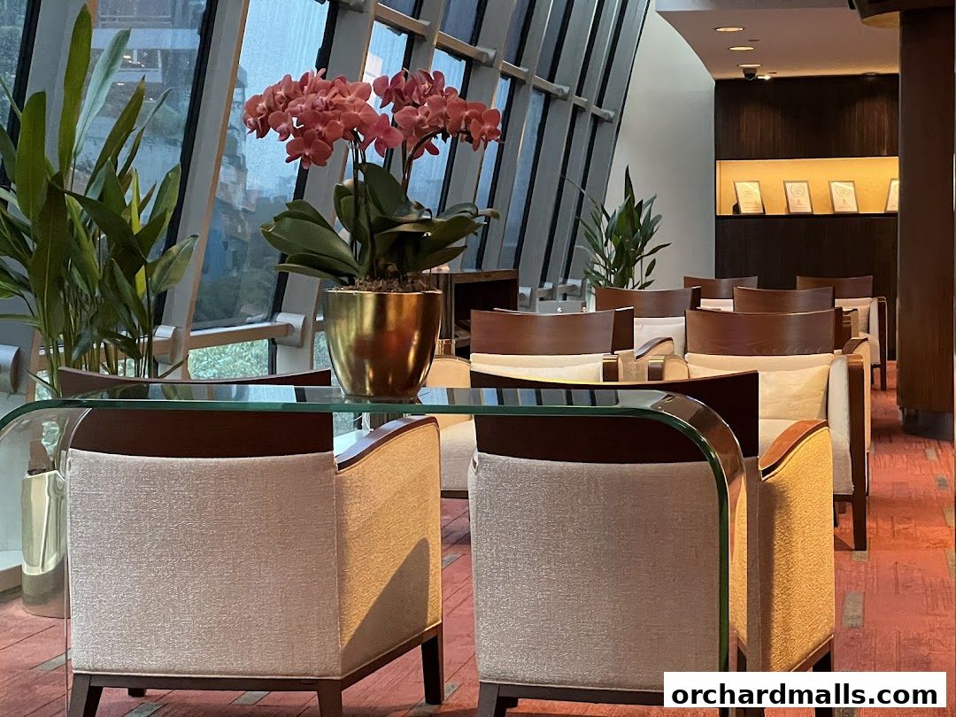 Interior of a lounge area with comfortable seating and decorative plants.