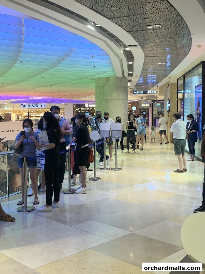 People queuing at the Singapore Airlines Service Centre ION in a mall.
