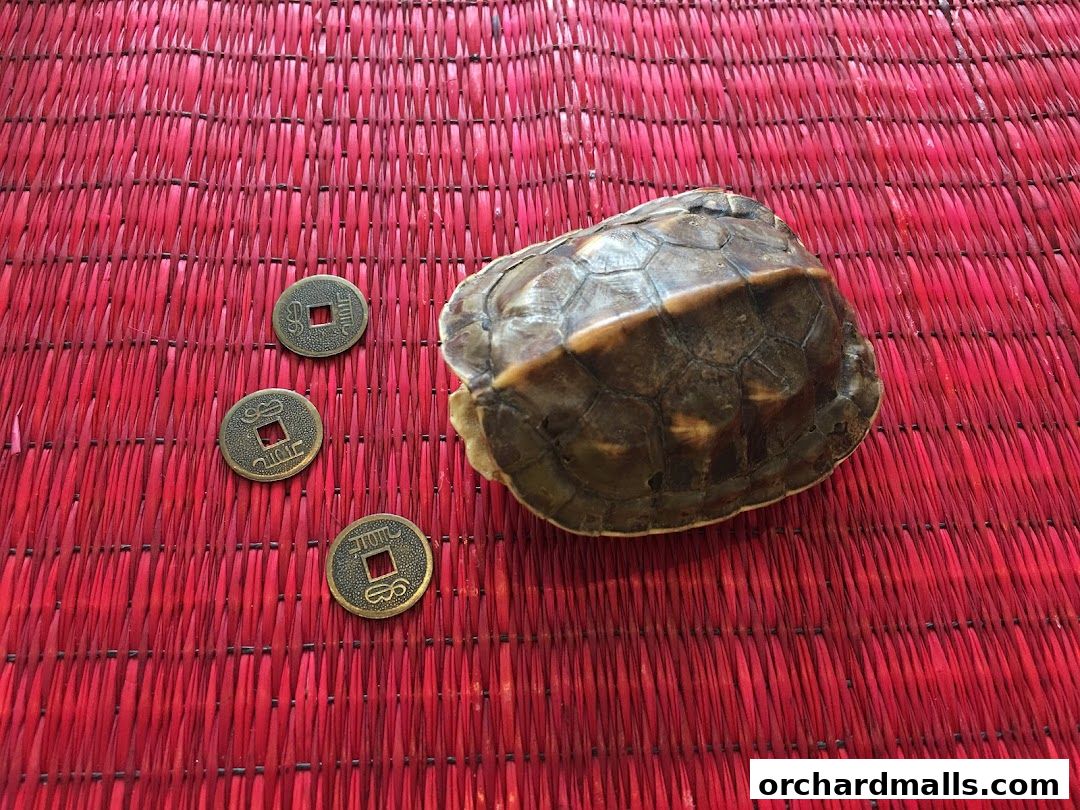 Singapore Feng Shui Master Daniel Ong