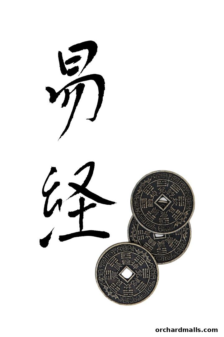 Singapore Feng Shui Master Daniel Ong