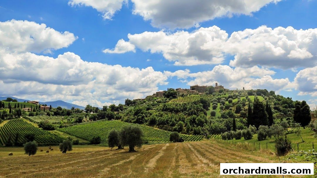 A picturesque Tuscan landscape with rolling hills, vineyards, olive groves, and a distant village.