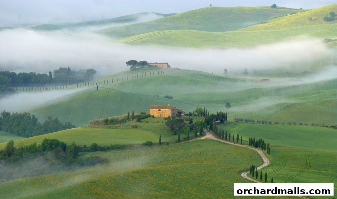 Misty rolling green hills with cypress trees and farmhouses in Tuscany.