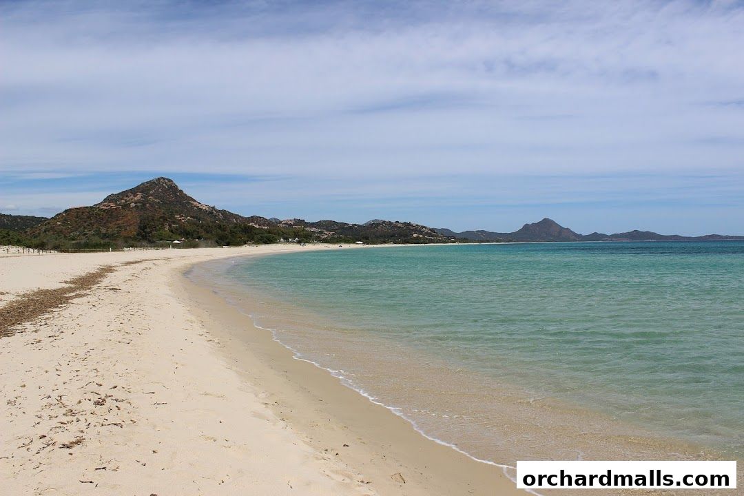 A scenic view of a sandy beach with turquoise waters and rolling hills in the background.