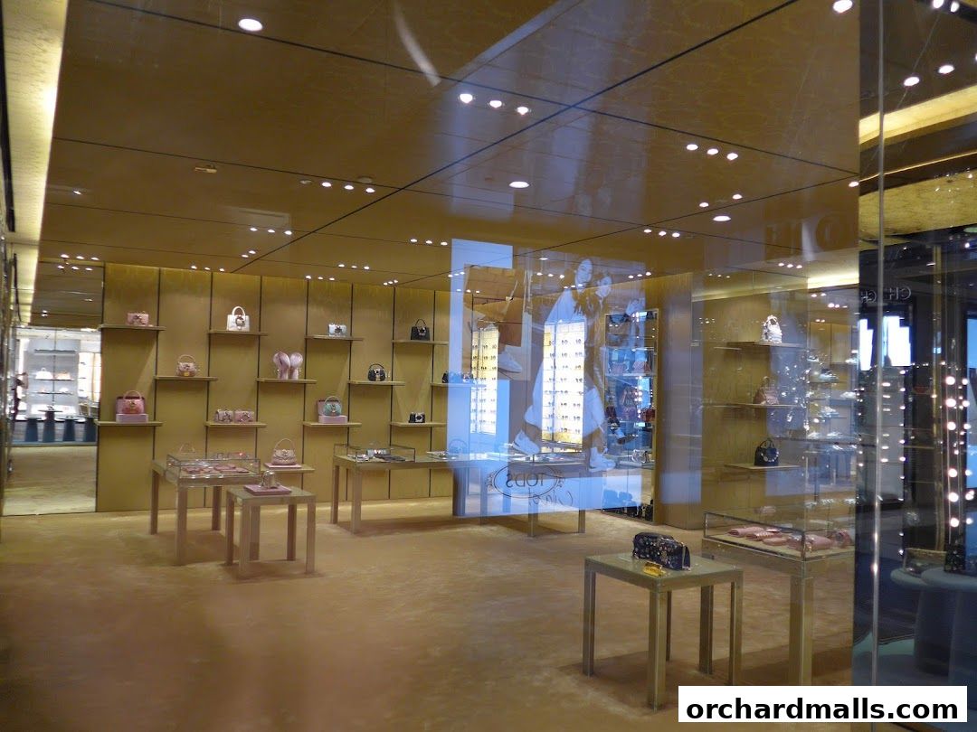 Singapore Miu Miu Paragon