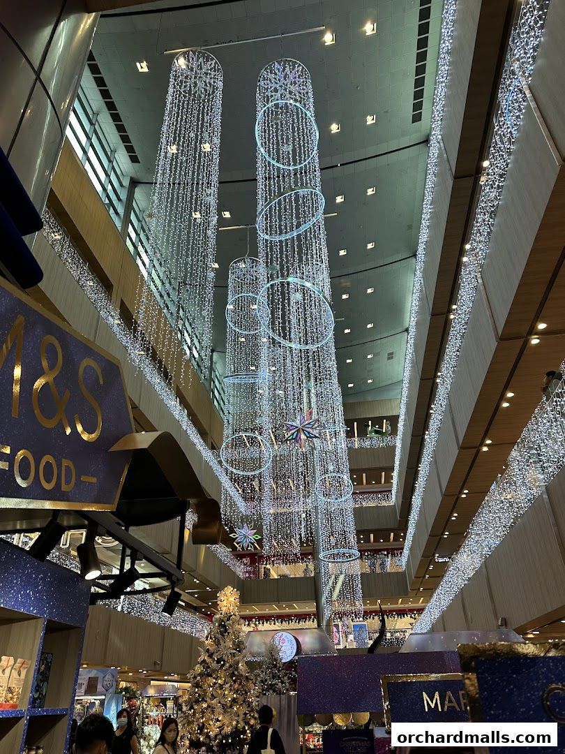 Singapore Miu Miu Paragon