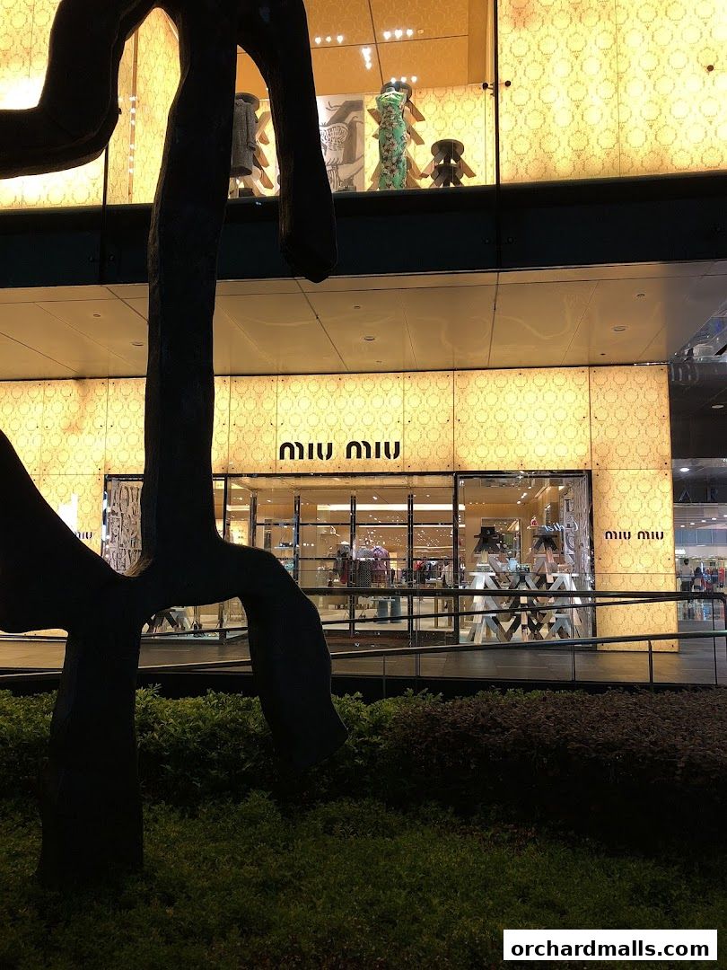 Singapore Miu Miu Paragon