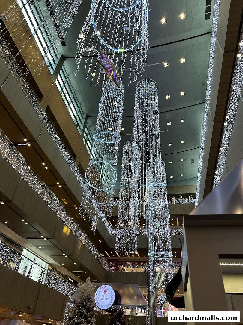 Singapore Miu Miu Paragon