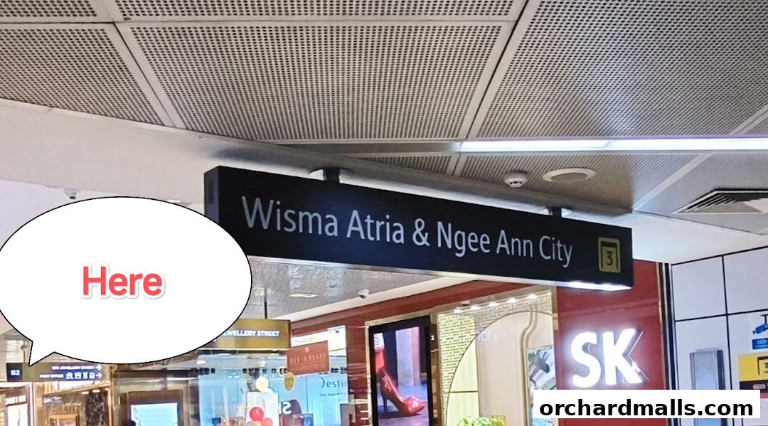 A directional sign pointing to Wisma Atria & Ngee Ann City, with shops visible below.