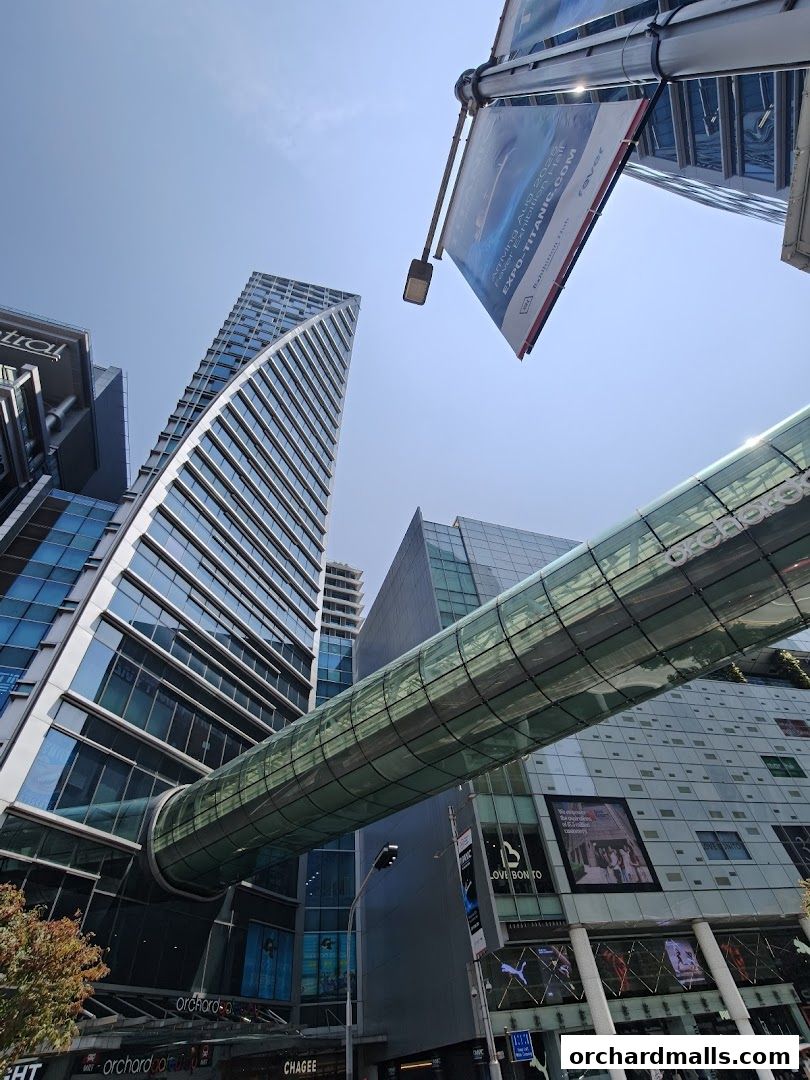 Singtel Service Serv  the Centrepoint