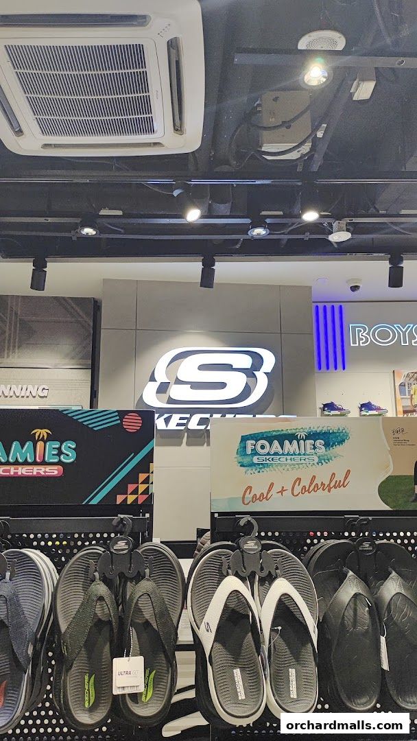 Skechers 313somerset