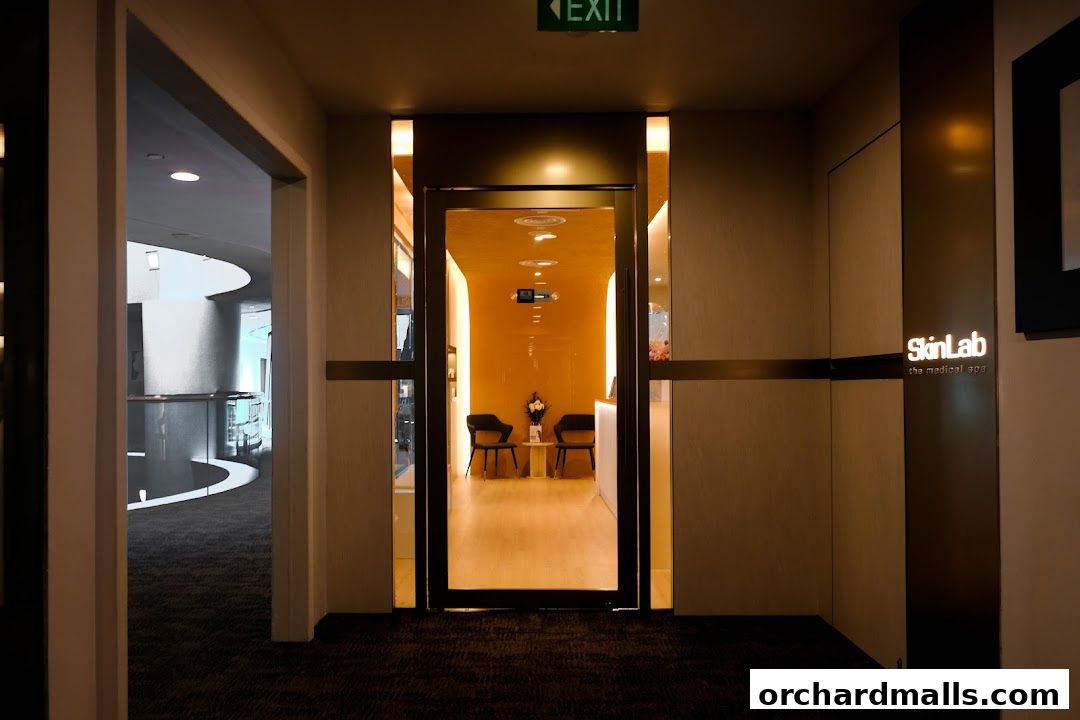 Entrance to SkinLab The Medical Spa with a reception area visible inside.