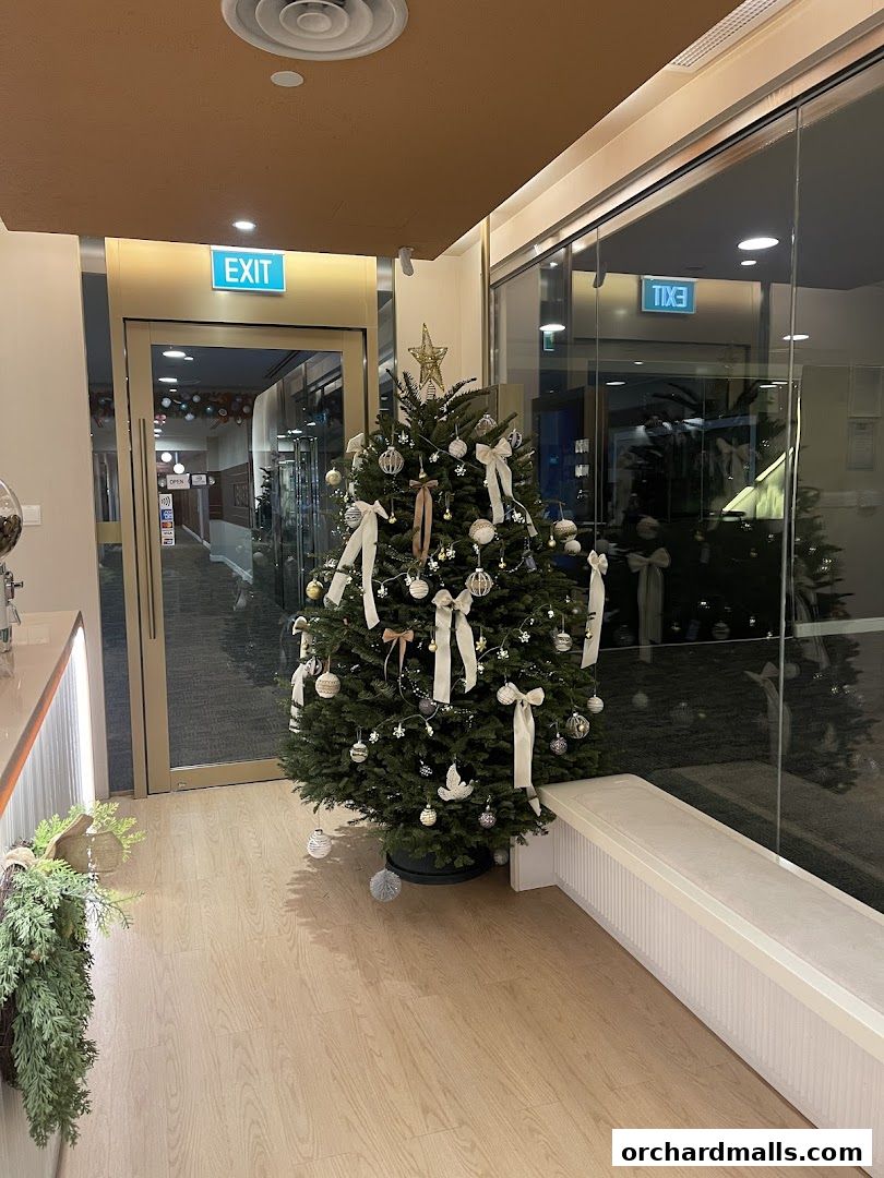 A decorated Christmas tree stands near an exit door and a glass-walled area.