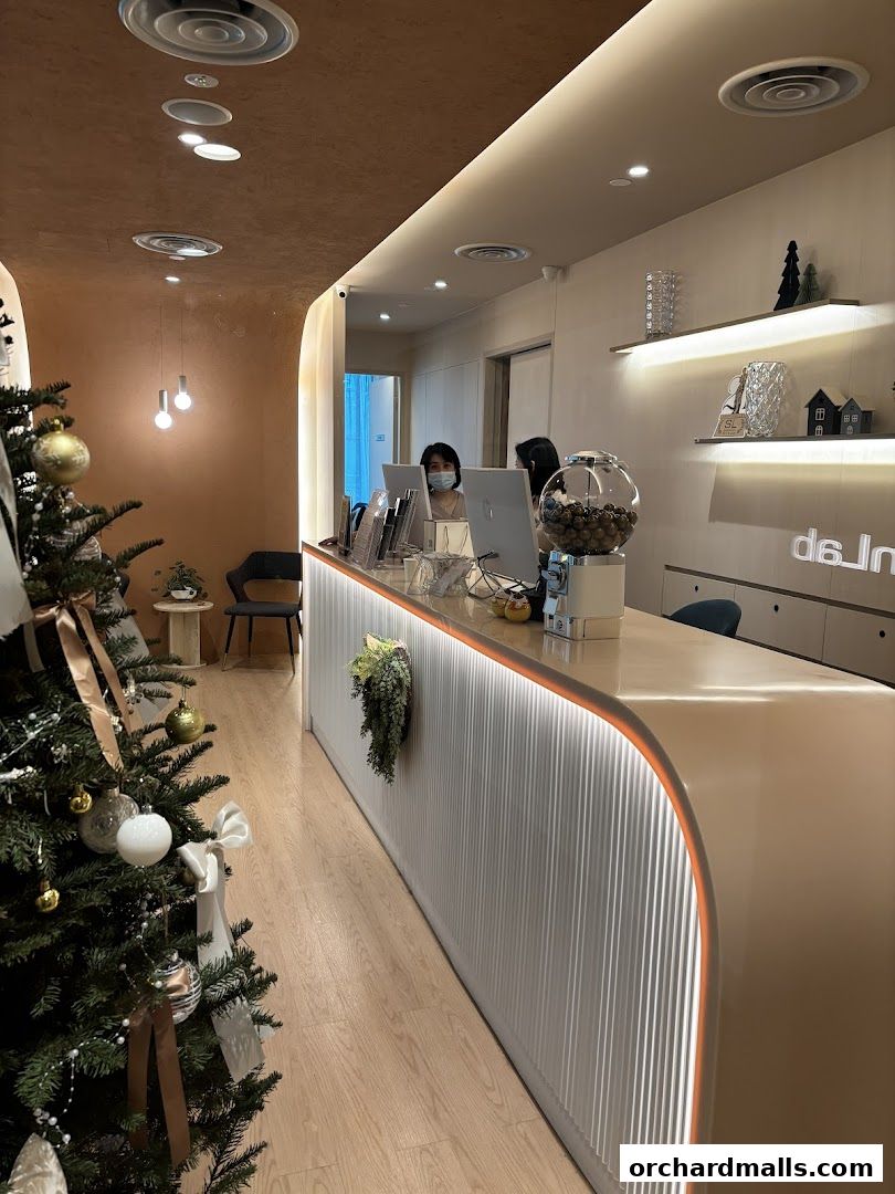Interior view of SkinLab The Medical Spa reception area with a Christmas tree.