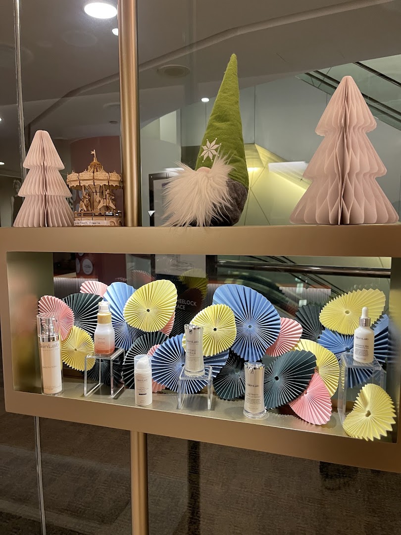 SkinLab The Medical Spa