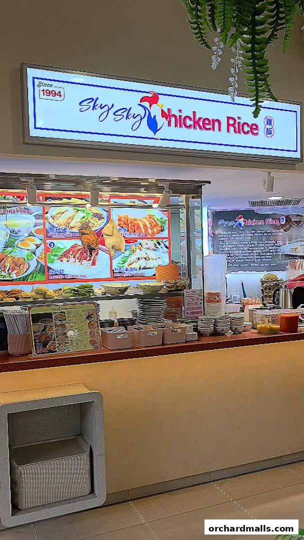 Sky Sky Chicken Rice