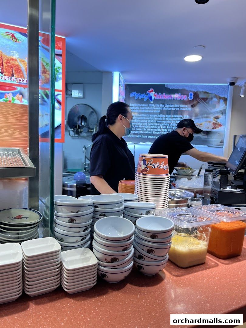 Sky Sky Chicken Rice