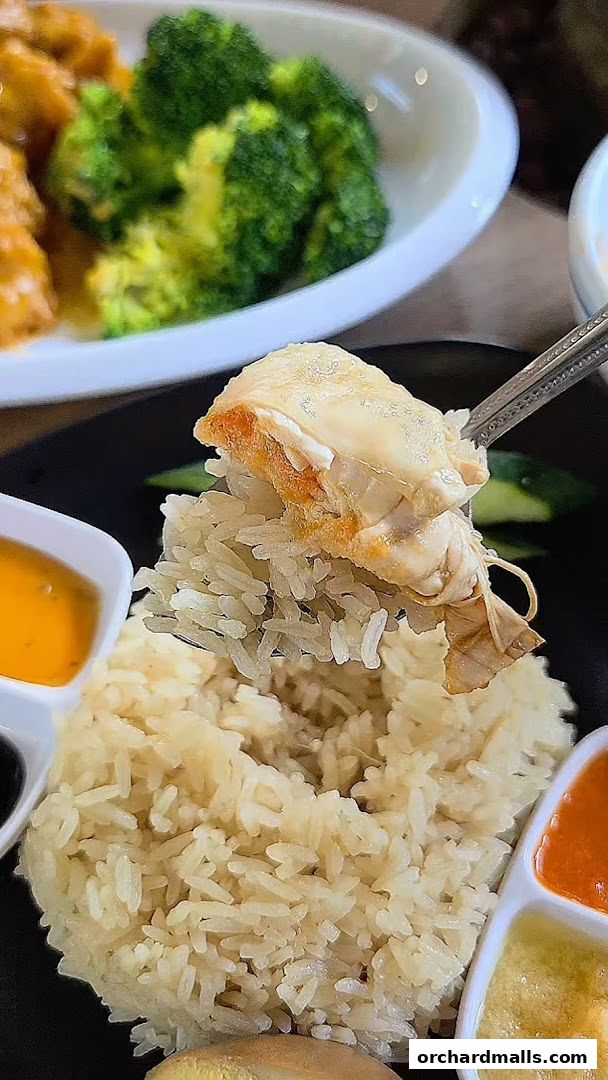 Sky Sky Chicken Rice