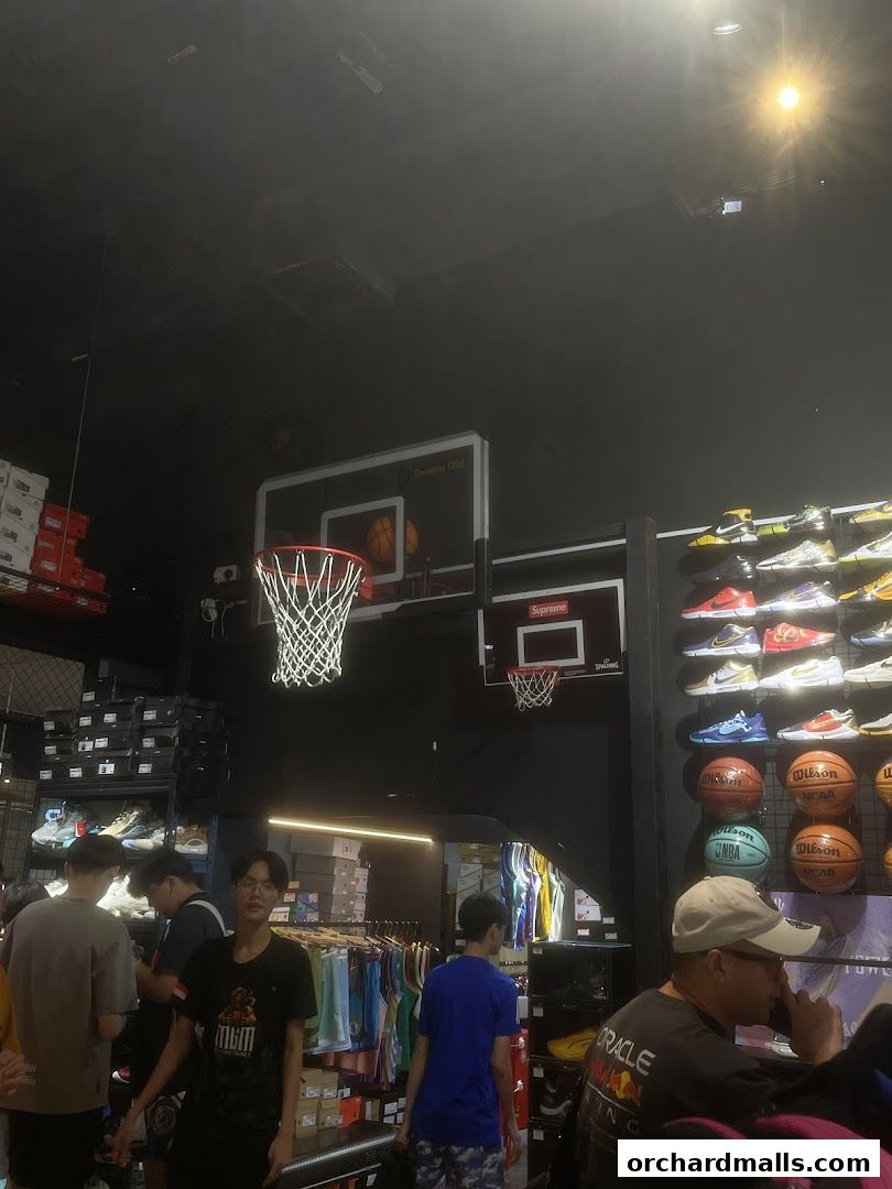 Sneakers Club Orchard