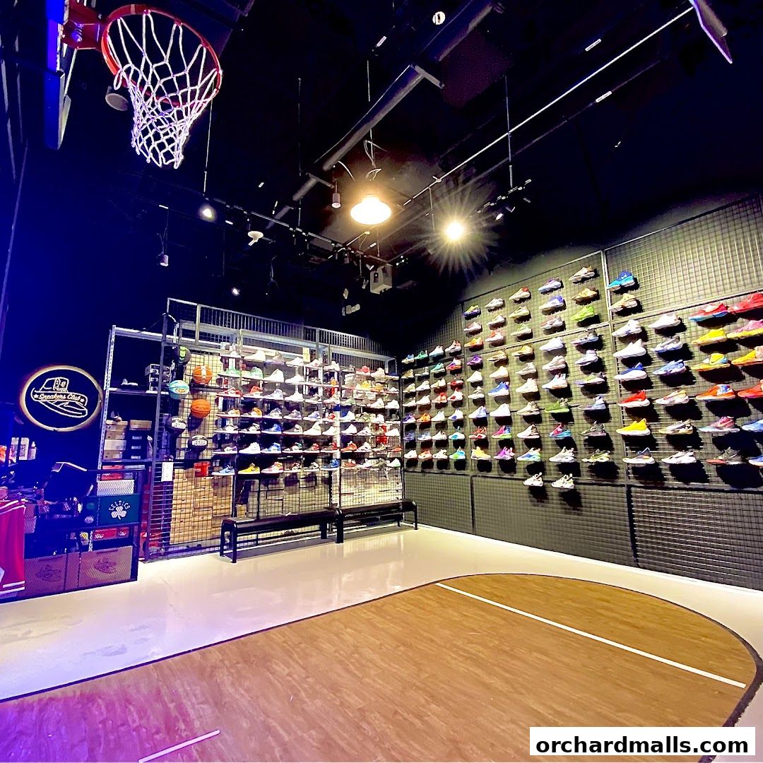Sneakers Club Orchard