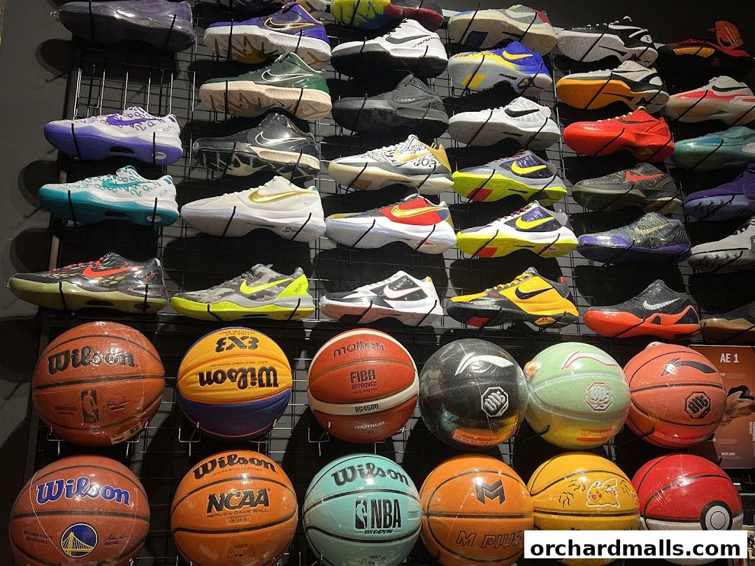 Sneakers Club Orchard