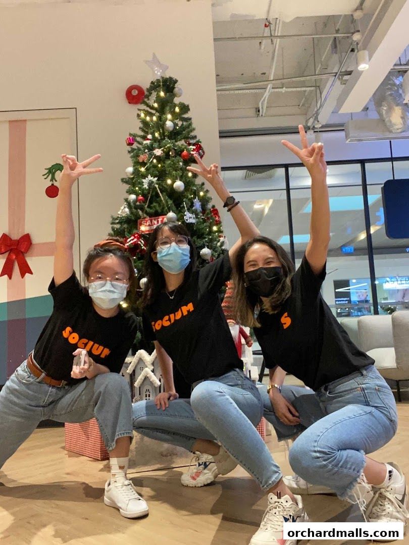 Socium Consultancy Pte Ltd