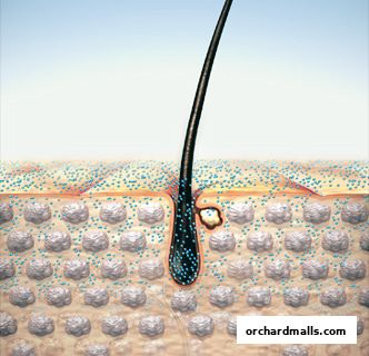 SOLATA HairScalp Lab