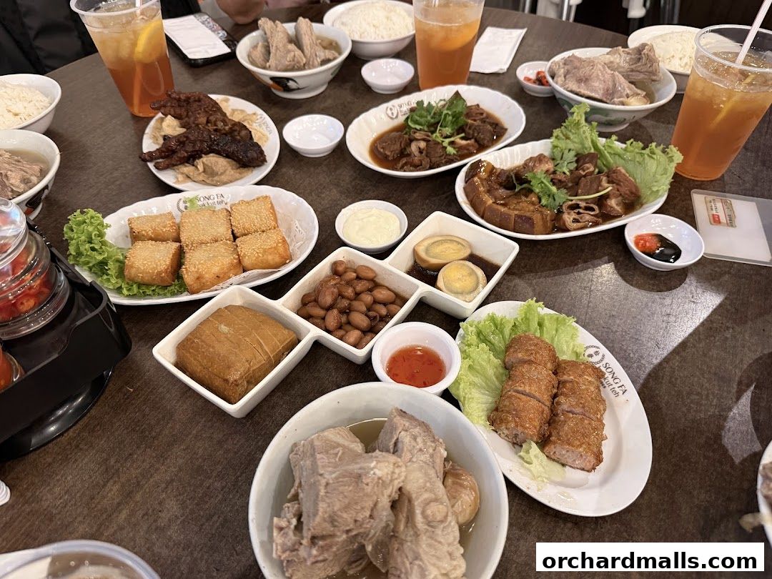 Song Fa Bak Kut Teh The Centrepoint 松發肉骨茶 先得坊
