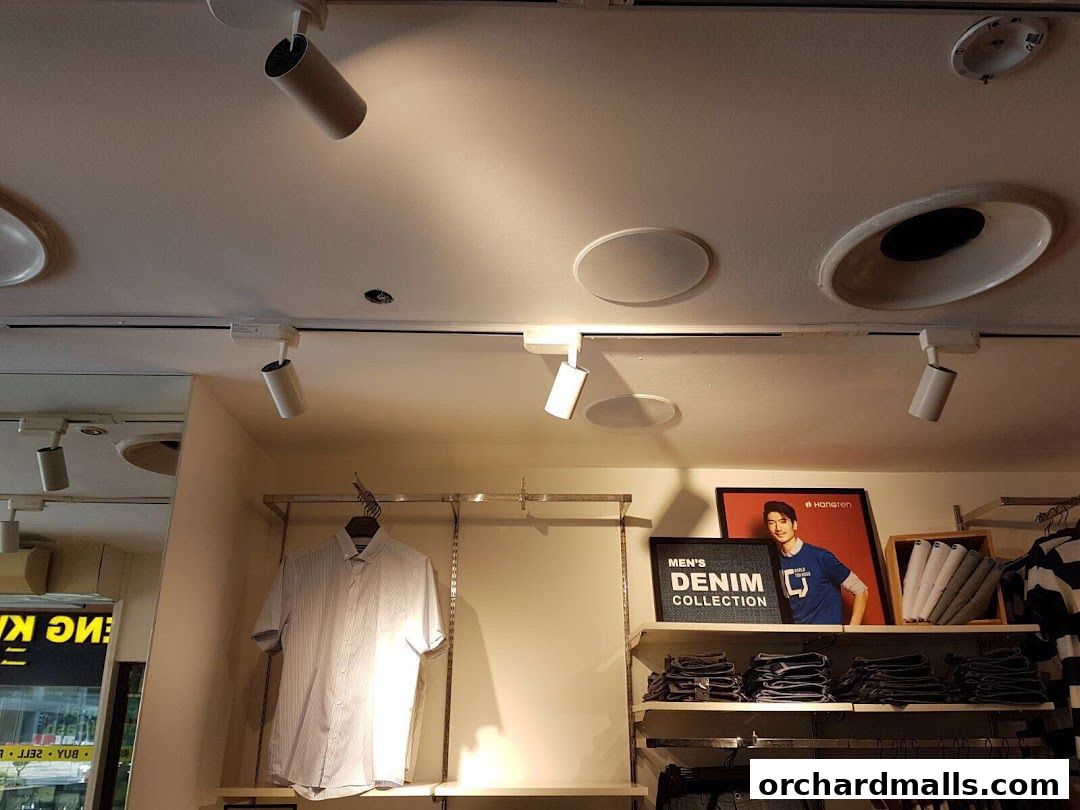 Interior view of a clothing store with a denim collection display and shirts on hangers.