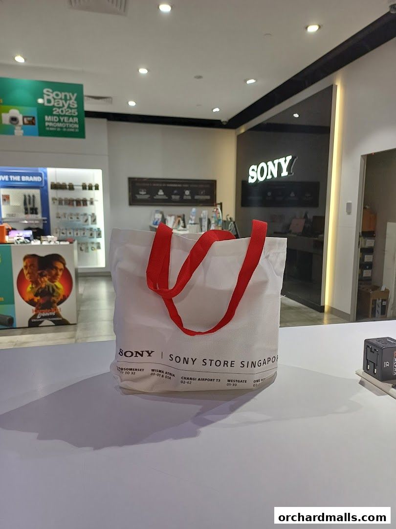 Sony Flagship Store, 313Somerset