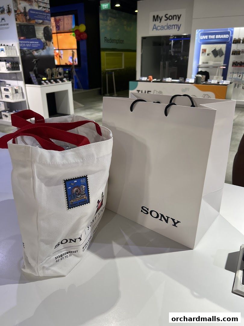 Sony Flagship Store, 313Somerset