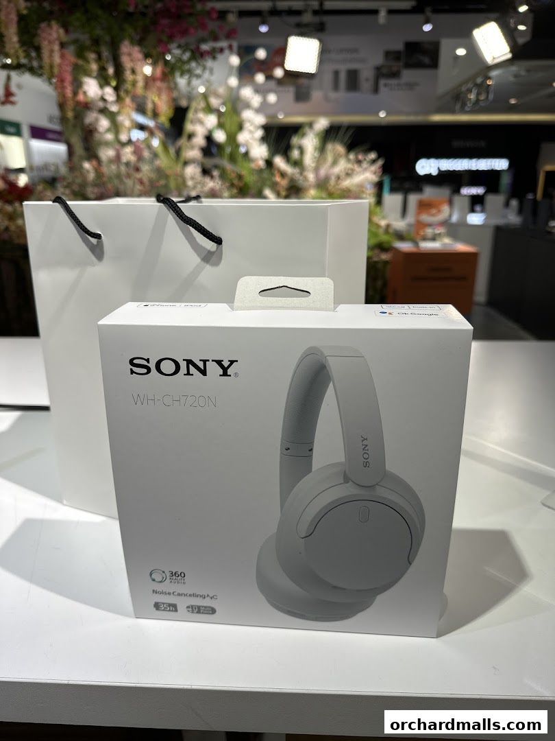 Sony Flagship Store, 313Somerset
