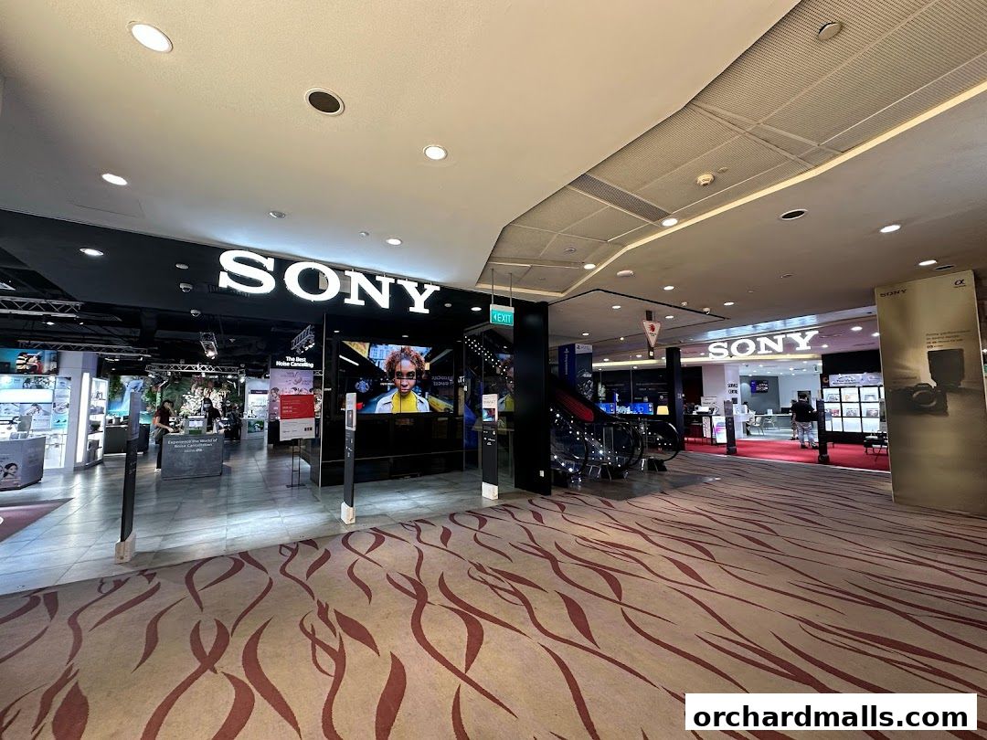 Sony Flagship Store, 313Somerset