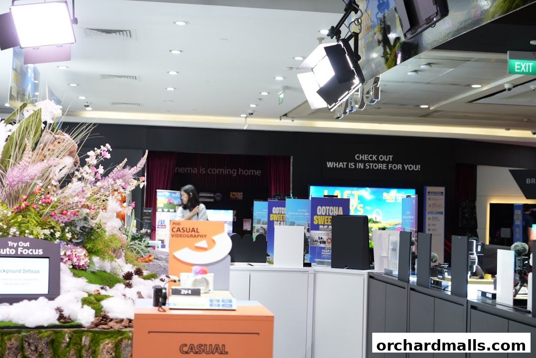 Sony Flagship Store, 313Somerset